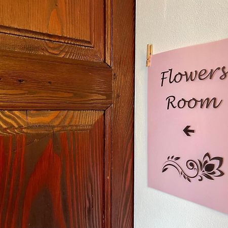 1912 - Flowers Room - Budget For Young 洛迦诺 外观 照片